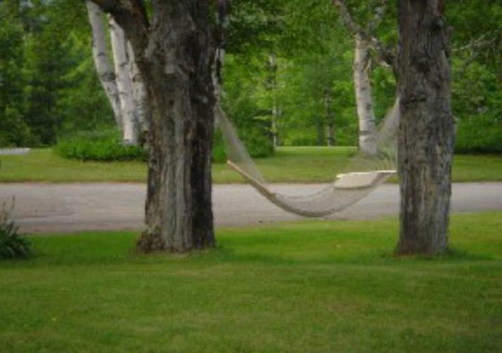 Мотель Patio Motor Court Carroll Экстерьер фото
